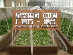 环境展示五