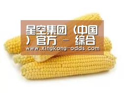 产品名称五