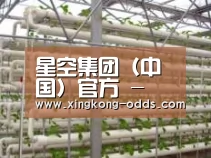 环境展示六