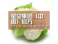 产品名称九