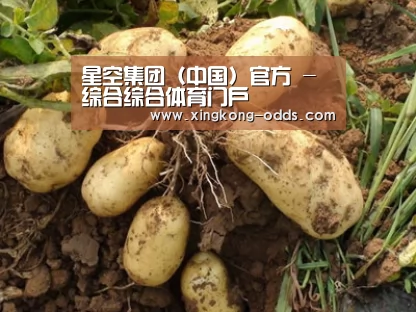 种植基地六