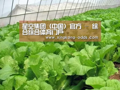 种植基地一