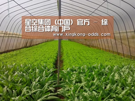 种植基地四