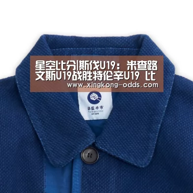 星空比分|斯伐U19: 米查路文斯U19战胜特伦辛U19 比分0:2(图2) 星空比分