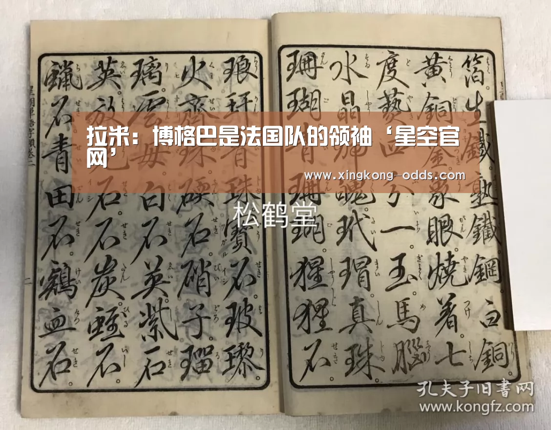 拉米:博格巴是法国队的领袖‘星空官网’(图1) 星空比分