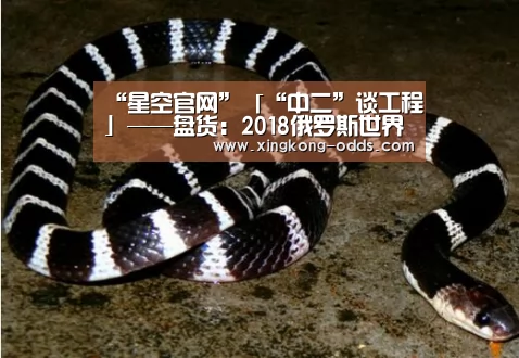 “星空官网”「“中二”谈工程」——盘货:2018俄罗斯世界杯12个角逐场馆!(图2) 星空快讯